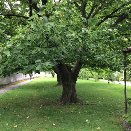 Hotellerie Franciscaine 2* סן-מוריס